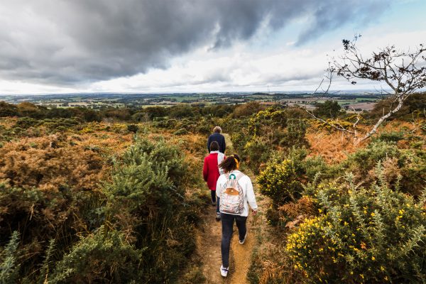 Landes de Locarn, Côtes d'Armor